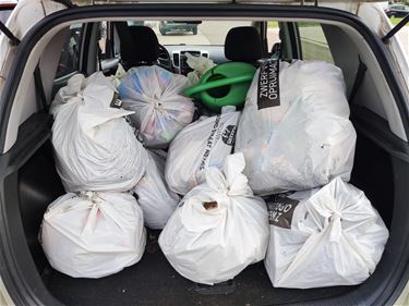 Vrijwilligers Natuurpunt ruimen zwerfvuil op - Pelt