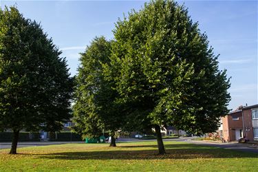 Vroege herfst en late lente - Beringen