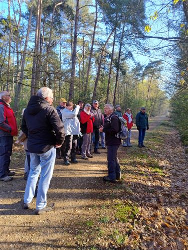 Vroege vogels genieten van dauwwandeling - Pelt