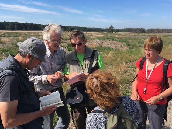 Vroeger dan verwacht heideherstel Blekerherheide - Lommel