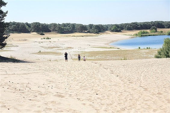 Vuurtje-stook in de Sahara - Lommel