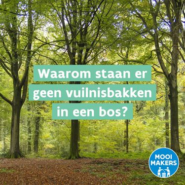 Waarom staan er geen vuilnisbakken in het bos? - Hechtel-Eksel