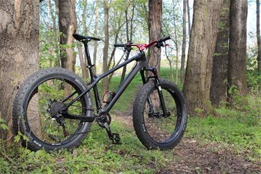 Waarop letten bij de aanschaf van een fatbike? - Pelt