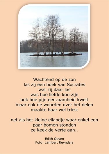 Wachtend op de zon - Beringen & Leopoldsburg