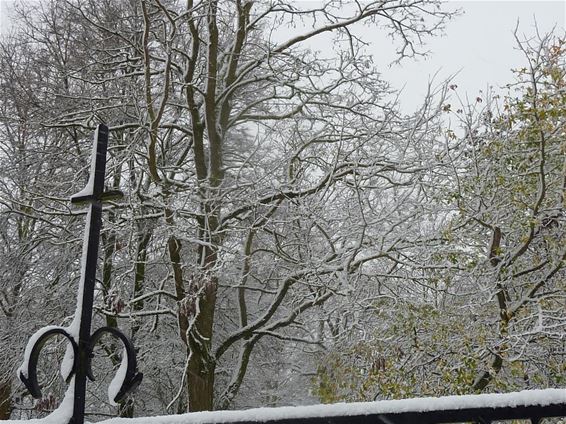 Wakker worden bij sneeuw - Hamont-Achel