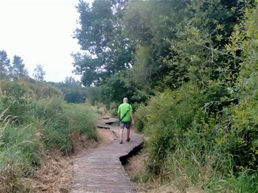 Wandelclub Paul Gerard verkent Paal - Beringen