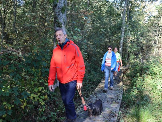 Wandeldag t.v.v. Zorghuis Limburg - Beringen