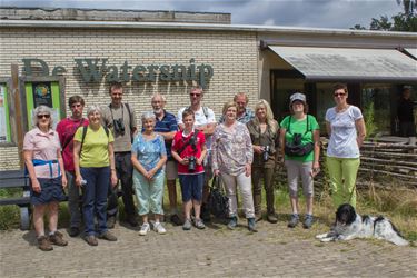 Wandelen door bos en heide - Beringen