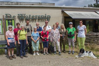 Wandelen door bos en heide - Beringen