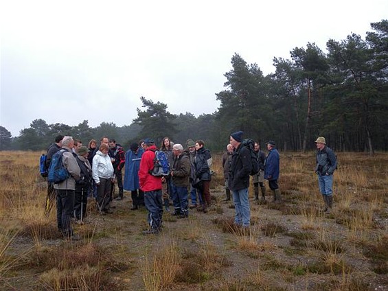 Wandelen door militair domein - Hechtel-Eksel