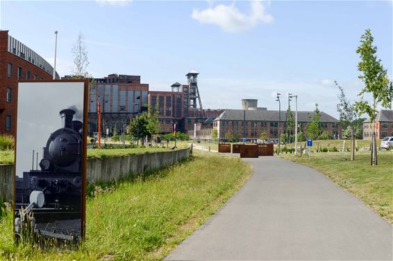 Wandelen in Beringen: Be-MINE Geel - Beringen