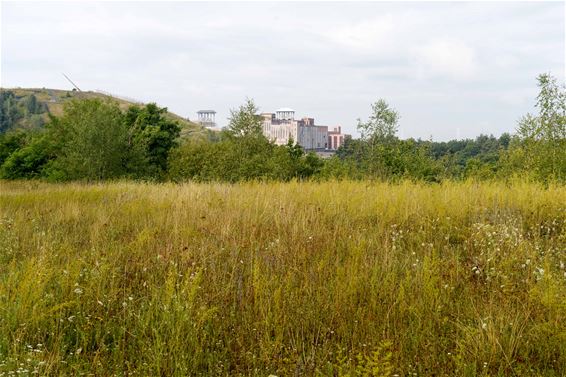 Wandelen in Beringen: be-MINE Rood - Beringen