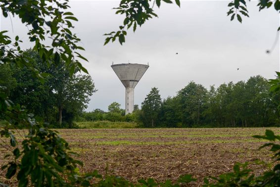 Wandelen in Beringen: Beverlo Rood - Beringen