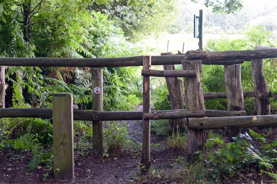 Wandelen in Beringen: Koersel Rood - Beringen