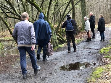 Wandelen in de natuur - Hamont-Achel