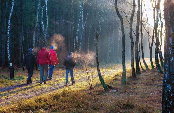 Wandelen in de ochtendkoude - Lommel