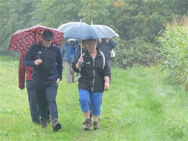 Wandelen in de regen - Beringen