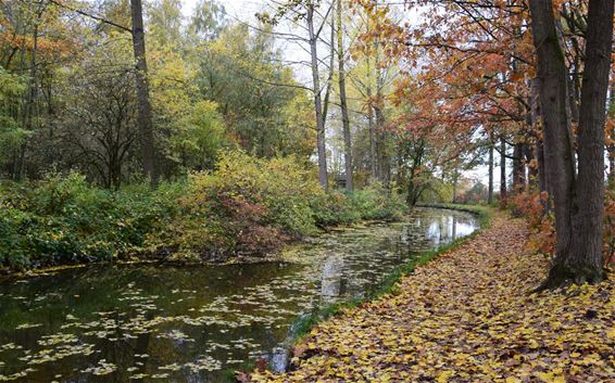Wandelen in de Vloeiweiden - Lommel