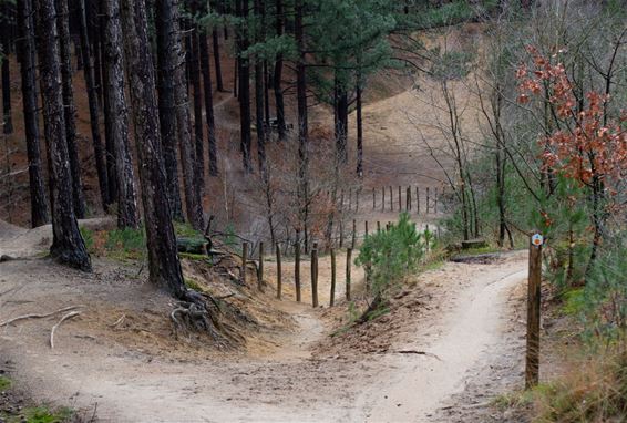 Wandelen in het Holven - Pelt