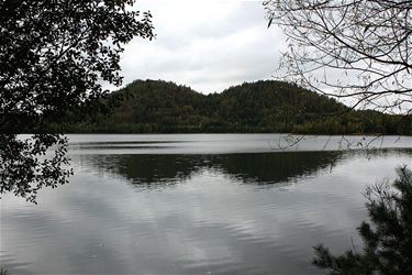 Wandelen in het park Hoge Kempen