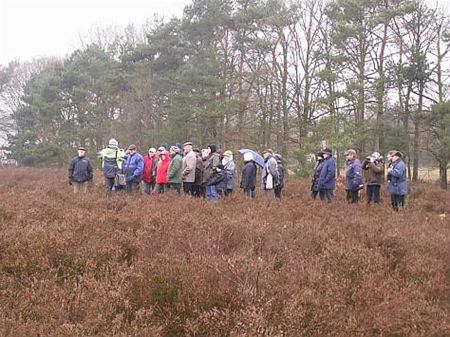 Wandelen in 't Plat - Overpelt