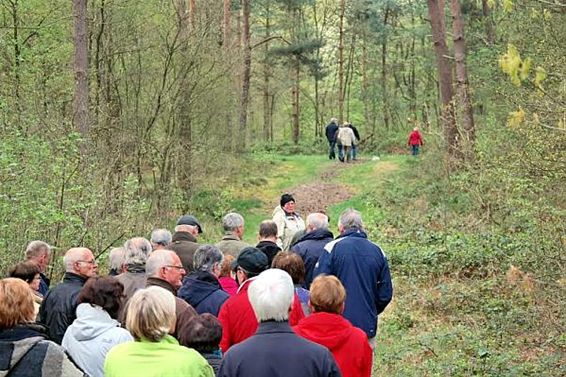 Wandelen met de boswachter - Hamont-Achel