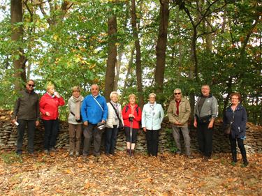 Wandelen met Okra Beringen-centrum - Beringen