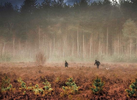 Wandelen, ondanks het slechte weer - Lommel