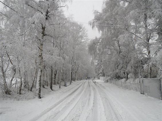 Wandelen op het fietspad - Hamont-Achel