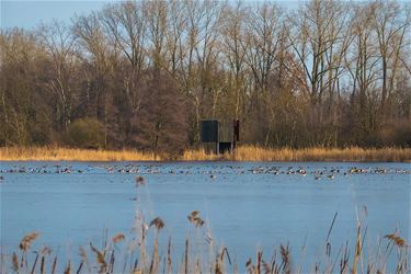 Wandelen over het Vogelhuttenpad