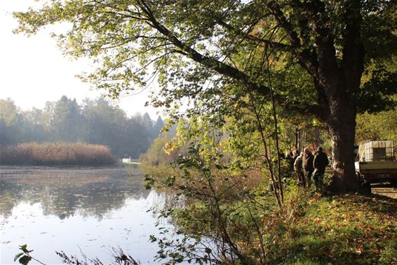 Wandelen rond De Bever - Hamont-Achel