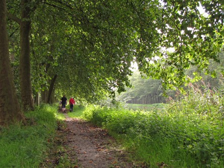 Wandelen tussen de buien door - Neerpelt