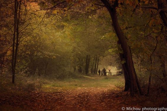 Wandelen vandaag! - Pelt