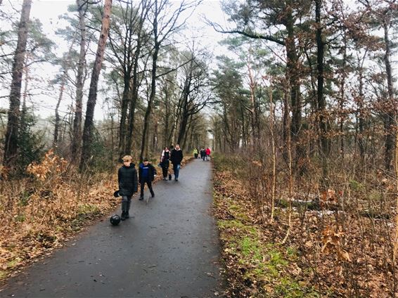 Wandelen, wandelen of wandelen - Beringen