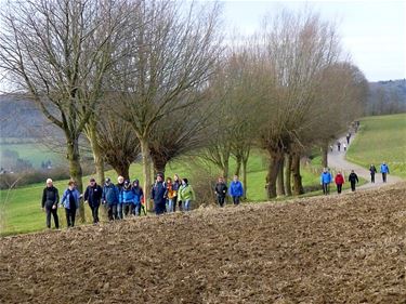 Wandelend Paal grensoverschrijdend - Beringen