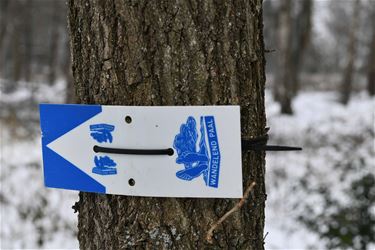 Wandelend Paal pijlt wandelingen in Koersel - Beringen