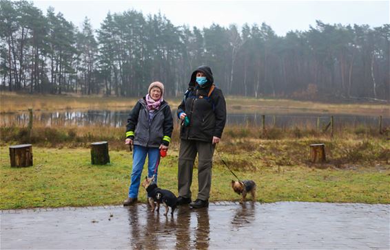 Wandelend Paal wandelt in Koersel - Beringen