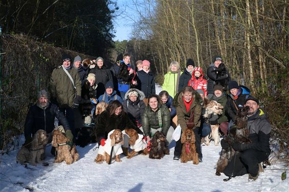 Wandeling All About Spaniëls - Beringen