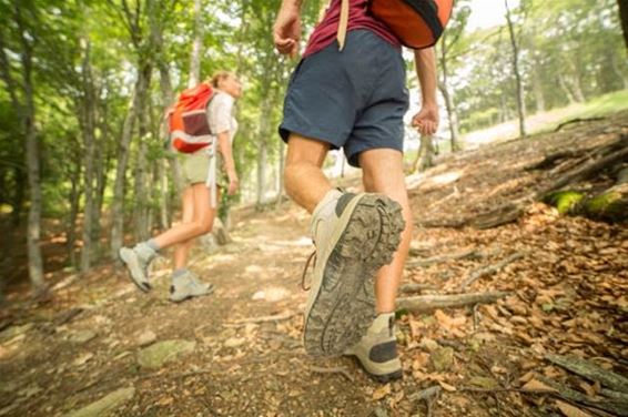 Wandeltellers in de Duinengordel - Meeuwen-Gruitrode