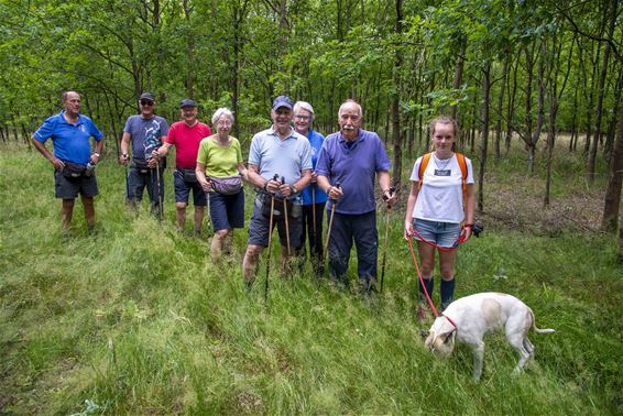 Wandeltip: de Waaltjes - Lommel