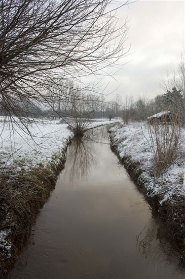 Wandelweer - Beringen