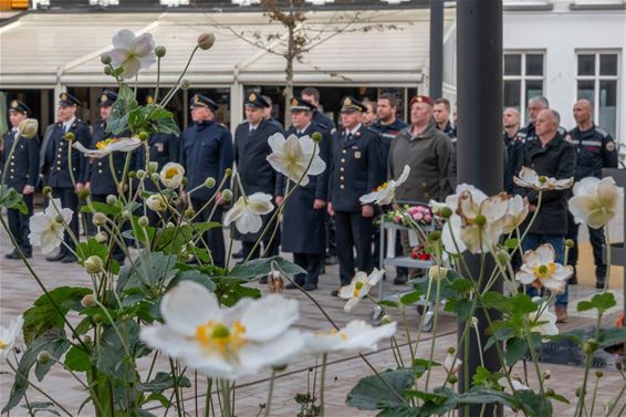 Bree - Wapenstilstand: aandacht voor struikelstenen
