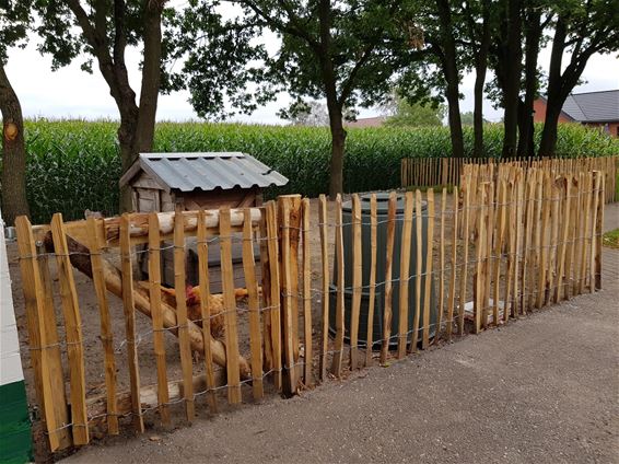 Warenhuis hielp Het Heesje bij opknapwerken - Bocholt