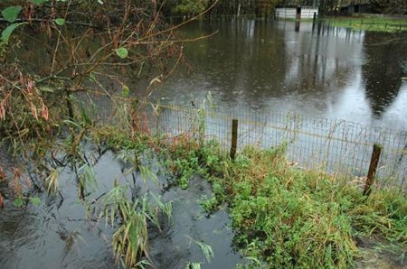 Warmbeek buiten haar oevers - Neerpelt