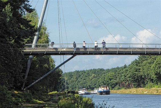 Wat een drukte - Lommel