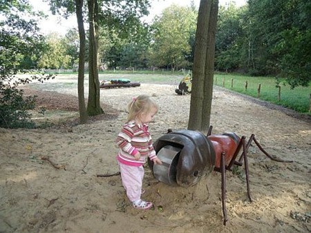 Wat een grote mier... - Hechtel-Eksel