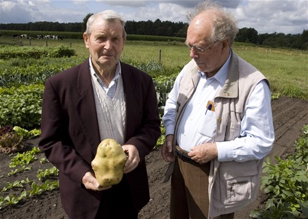 Wat een patat! - Neerpelt