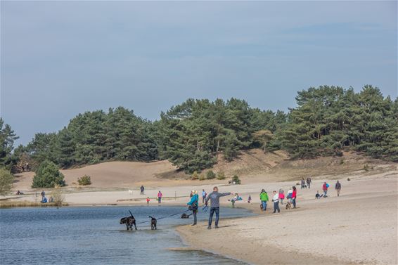 Wat een prachtige dag - Lommel