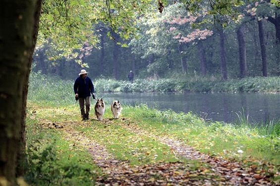 Wat is er mooier dan herfstkleuren? - Lommel