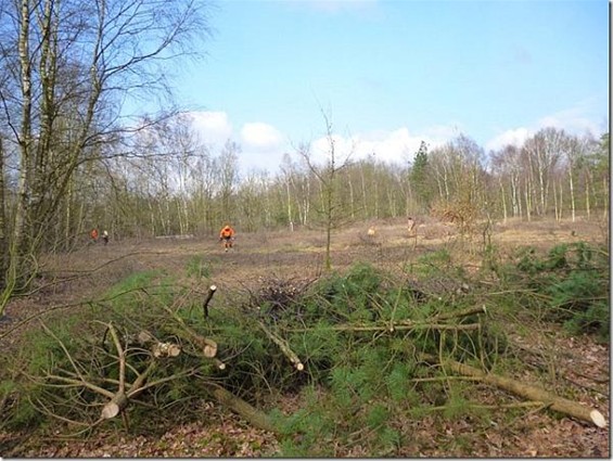 Wat men noemt 'in weer en wind'... - Meeuwen-Gruitrode